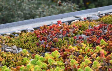 the cost of West Chinnock green roof installation