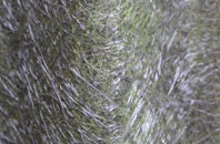 West Chinnock fibreglass roof work